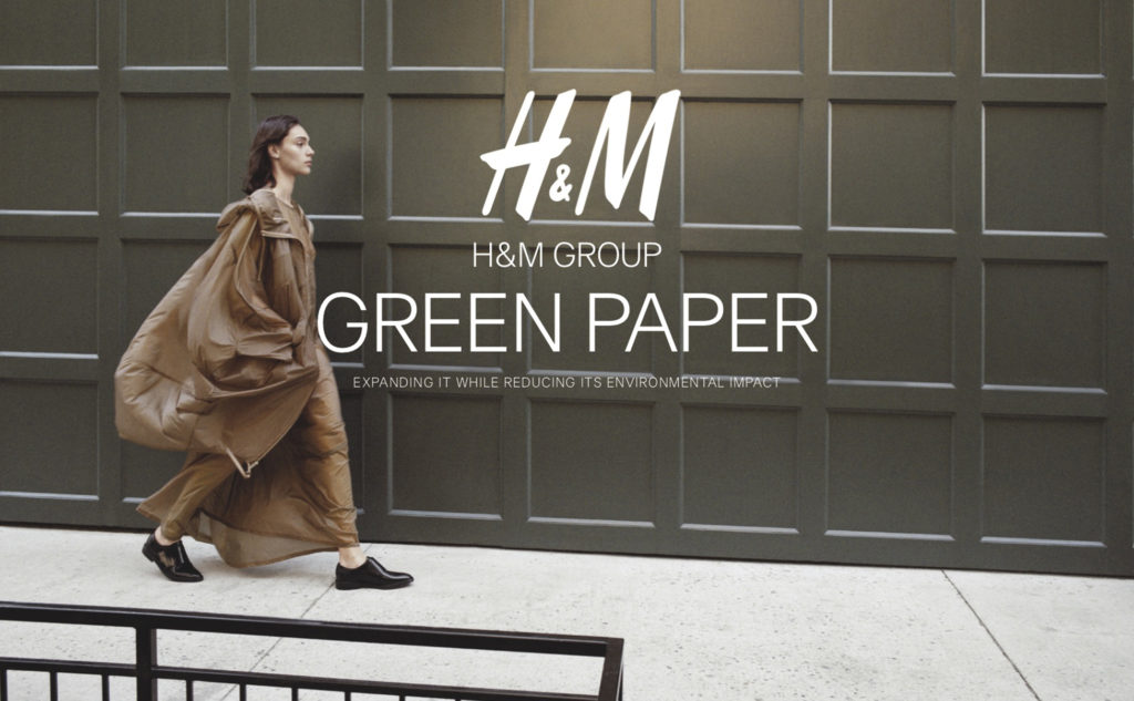 The Green Dream of the IT Team H M Group